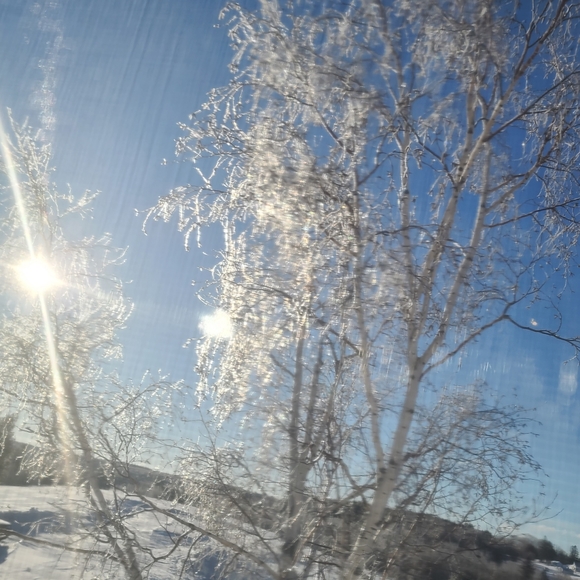 Meet your Posher, Markie - Picture 1 of 1